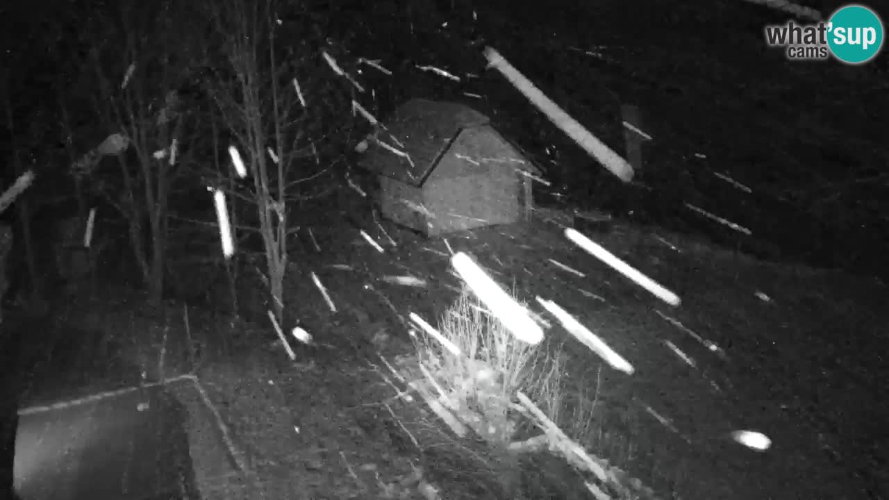 Webcam Lukanja – Water Village | Pohorje Houses