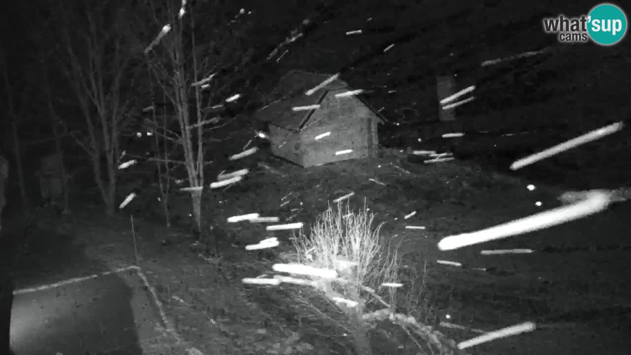 Webcam Lukanja – Pohorje houses a Water village