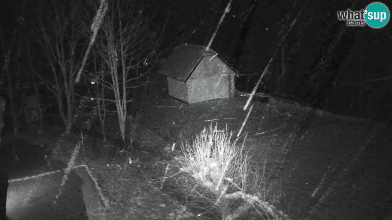 Webcam Lukanja – Water Village | Pohorje Houses