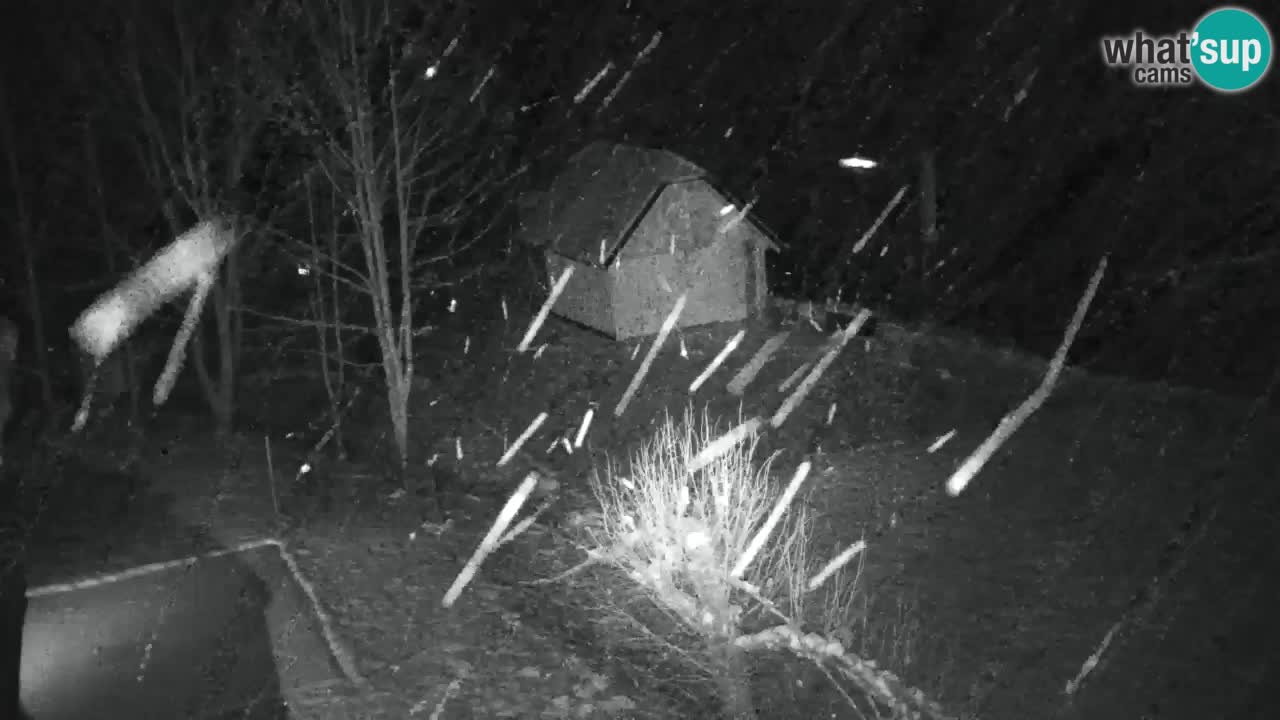 Webcam Lukanja – Water Village | Pohorje Houses