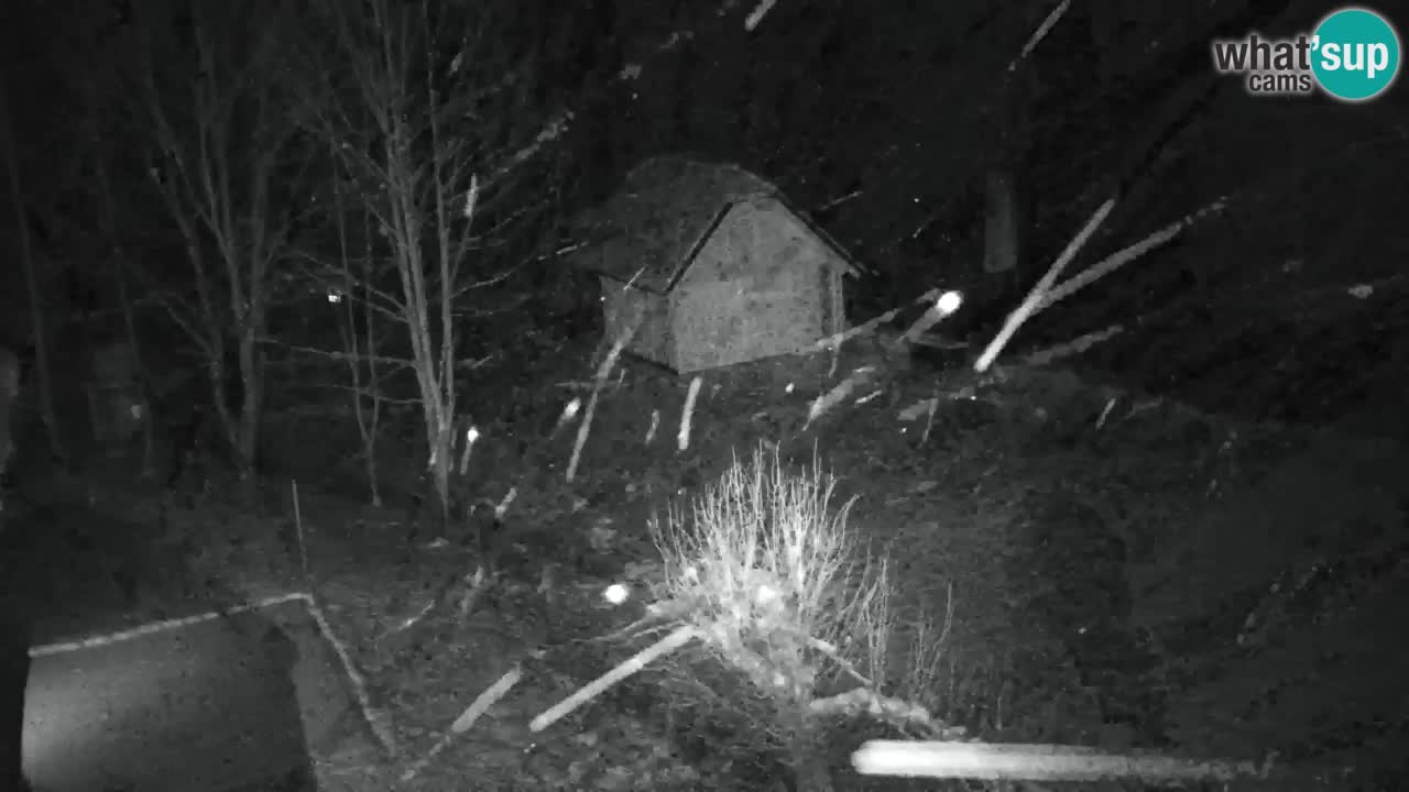 Webcam Lukanja – Water Village | Pohorje Houses