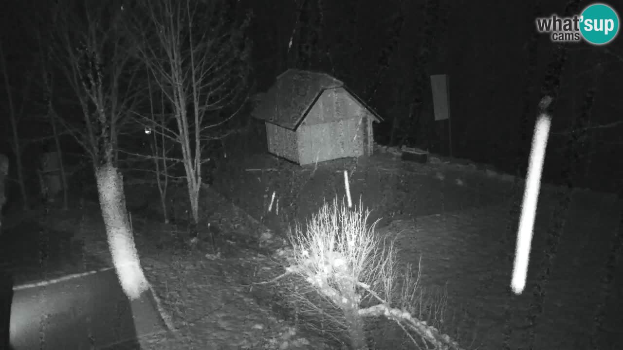 Webcam Lukanja – Water Village | Pohorje Houses