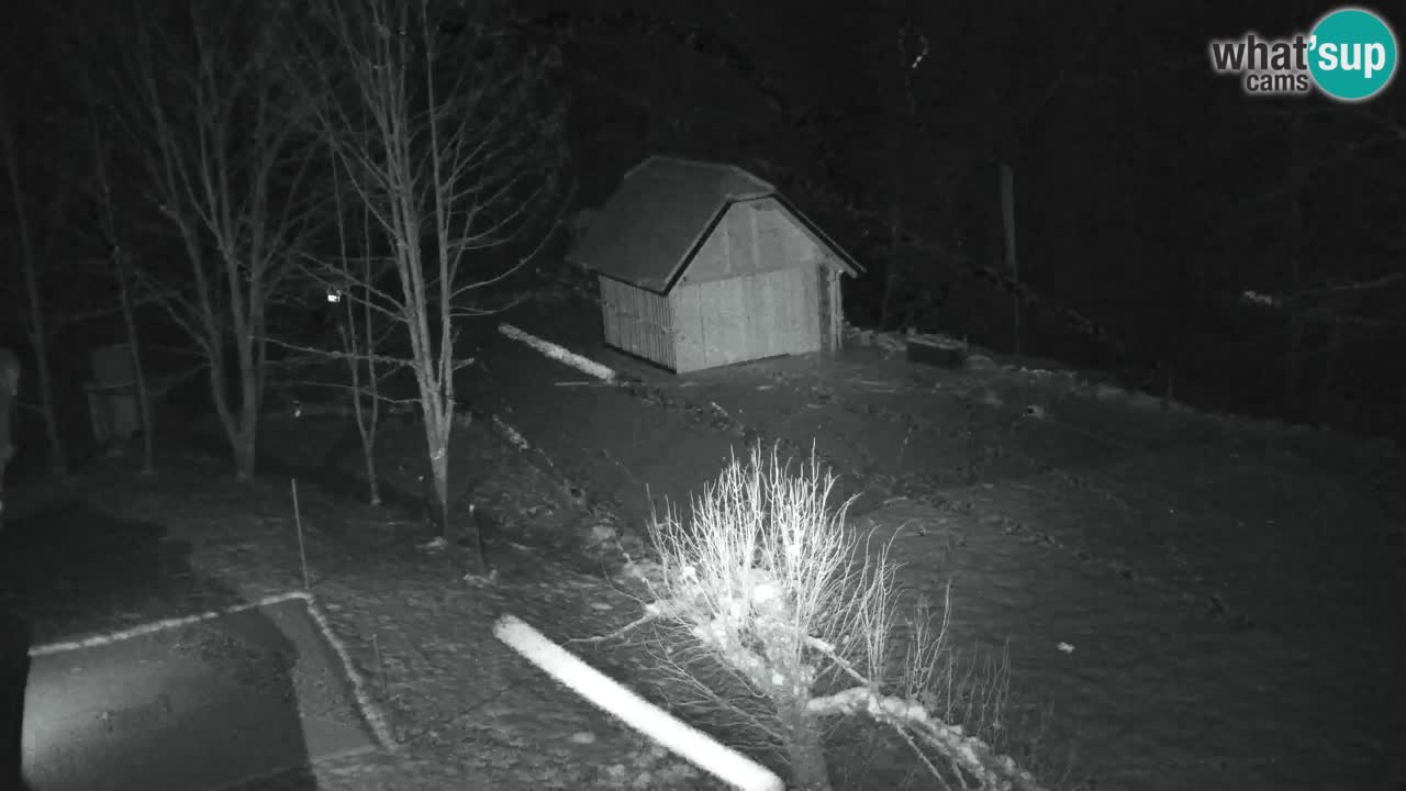 Webcam Lukanja – Water Village | Pohorje Houses