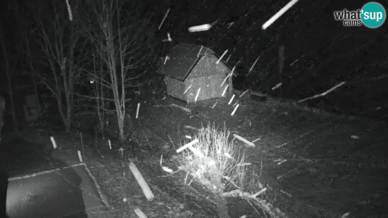 Spletna kamera Lukanja – Water Village | Pohorje Houses