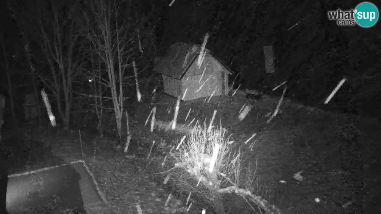 Webcam Lukanja – Water Village | Pohorje Houses