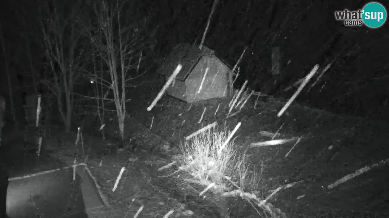 Webcam Lukanja – Pohorje houses a Water village