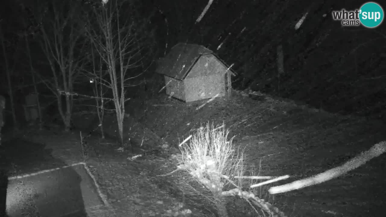 Webcam Lukanja – Water Village | Pohorje Houses