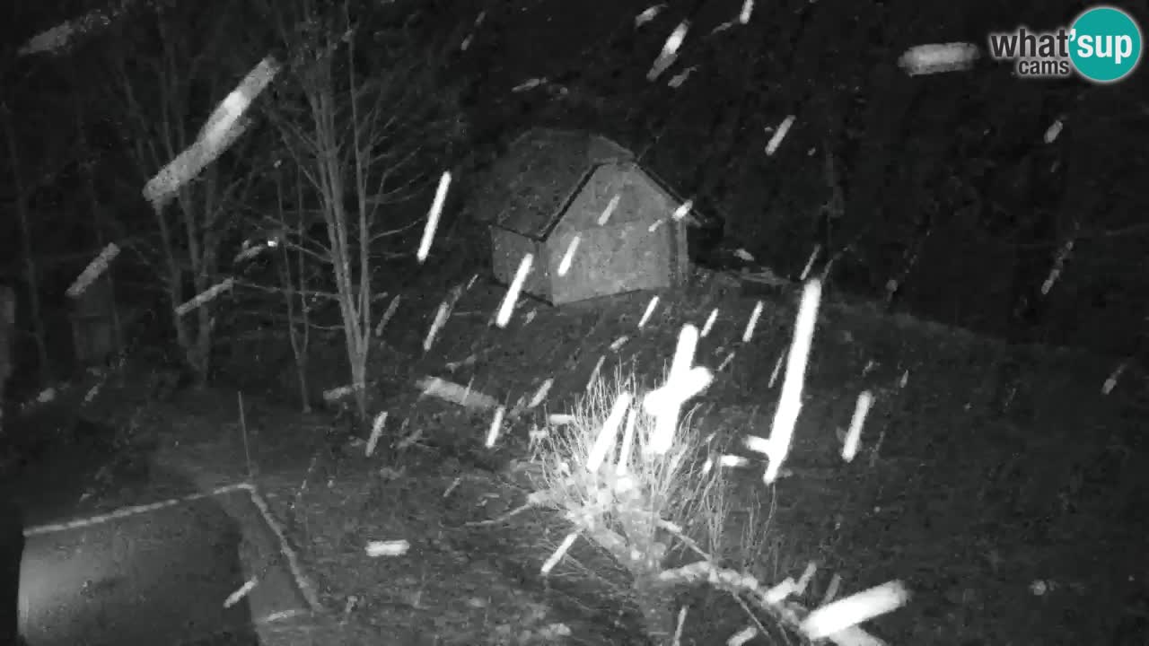 Webcam Lukanja – Water Village | Pohorje Houses