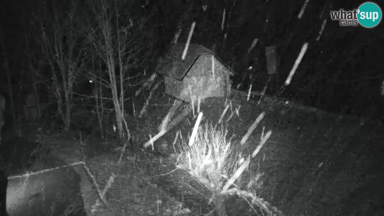 Webcam Lukanja – Water Village | Pohorje Houses