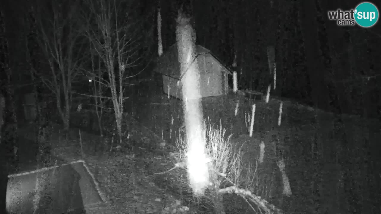 Webcam Lukanja – Pohorje houses a Water village