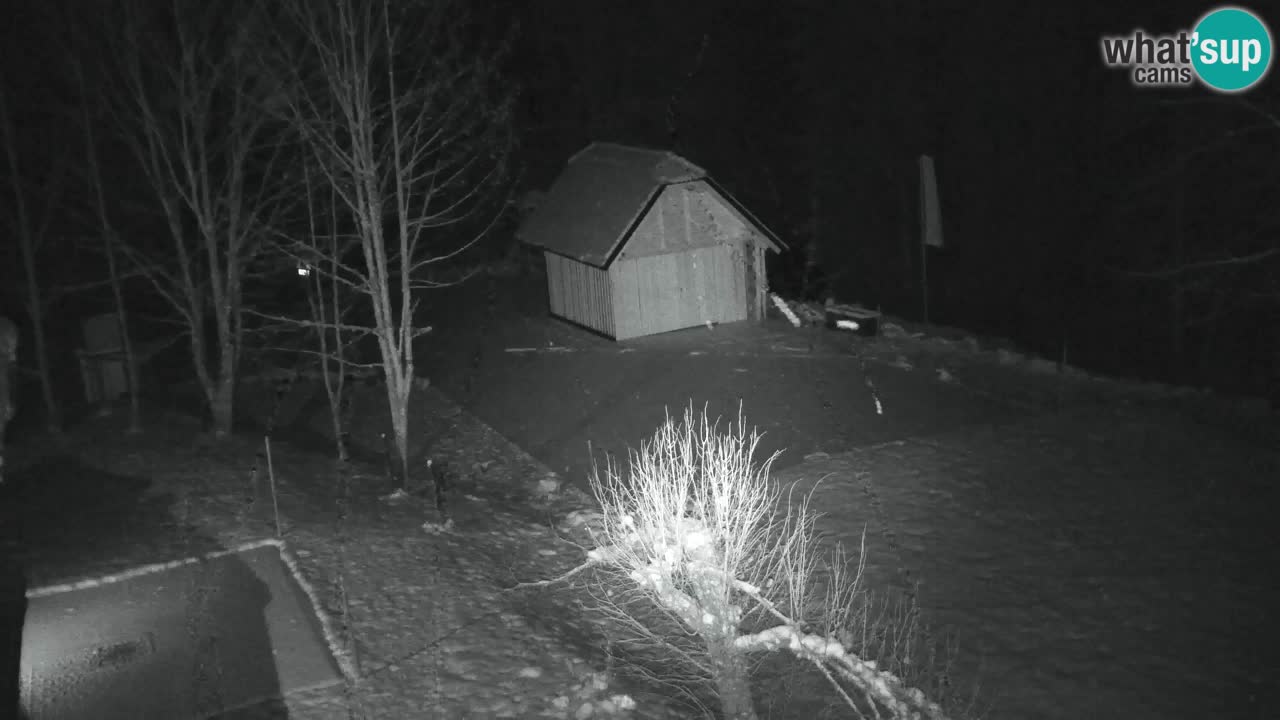 Webcam Lukanja – Water Village | Pohorje Houses