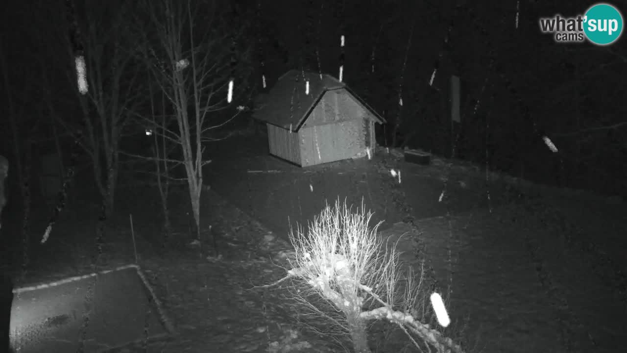 Webcam Lukanja – Water Village | Pohorje Houses