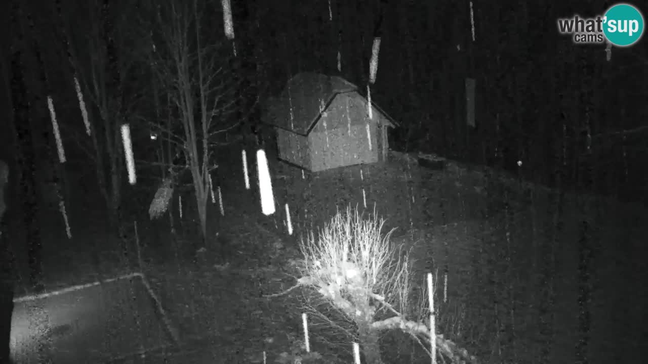 Webcam Lukanja – Water Village | Pohorje Houses