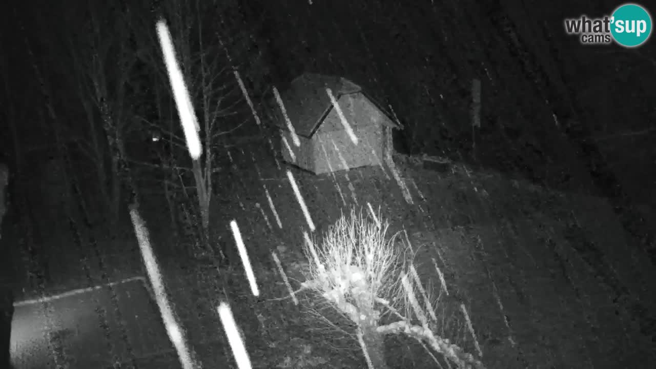 Webcam Lukanja – Pohorje houses a Water village