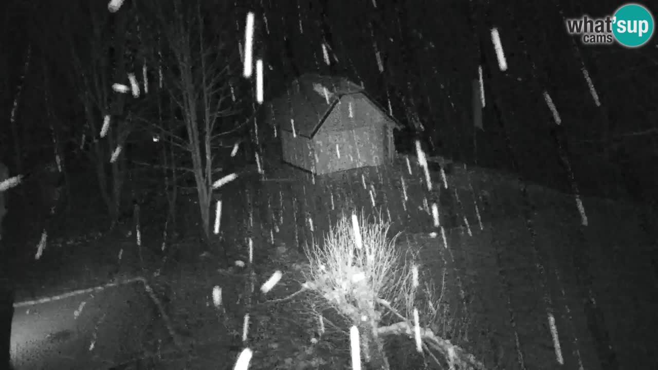 Webcam Lukanja – Water Village | Pohorje Houses