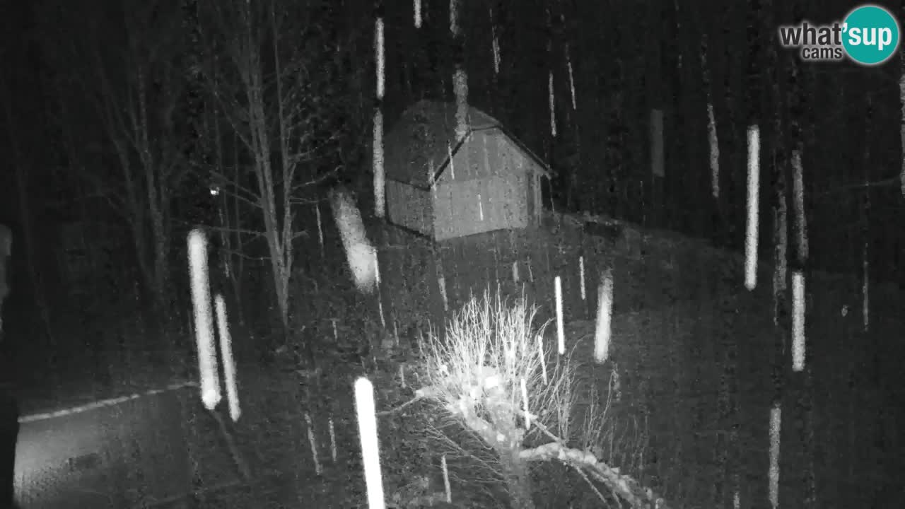 Webcam Lukanja – Pohorje houses a Water village