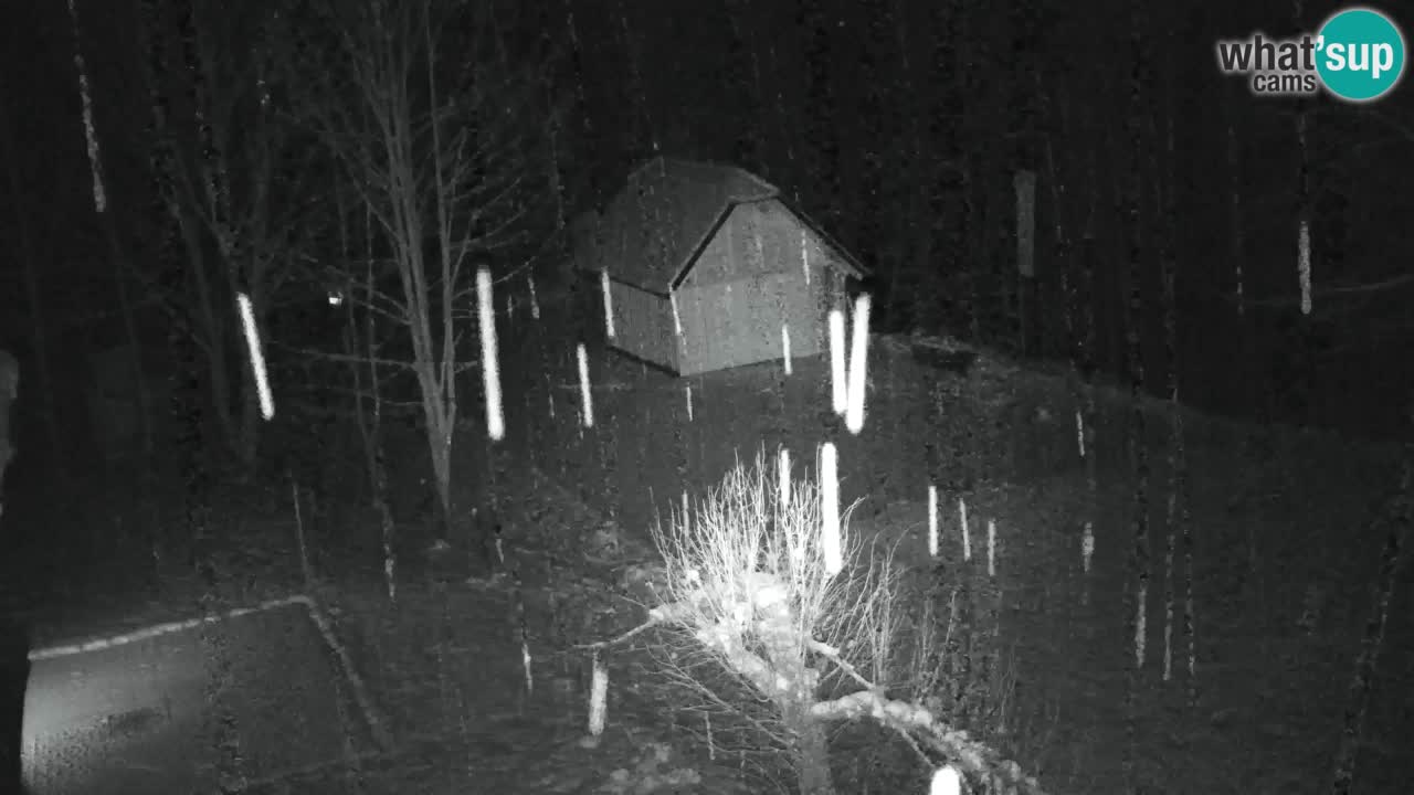 Webcam Lukanja – Pohorje houses a Water village