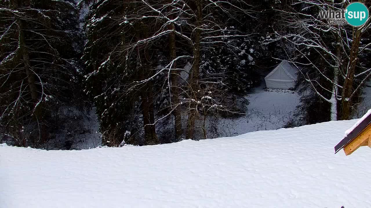Webcam Lukanja – Pohorje houses a Water village