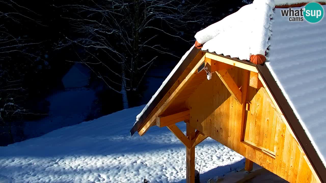 Web kamera Lukanja – Water Village | Pohorje Houses