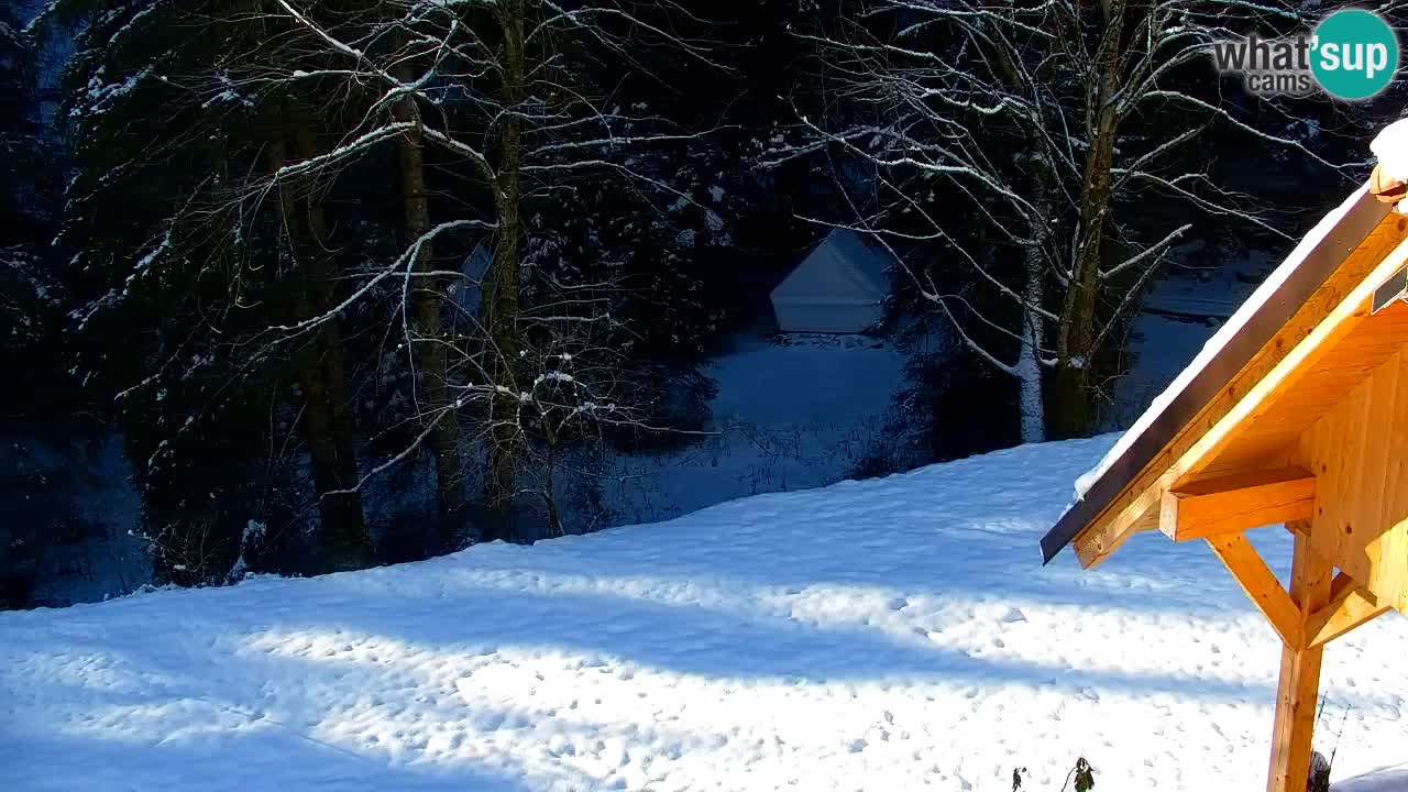 Spletna kamera Lukanja – Water Village | Pohorje Houses
