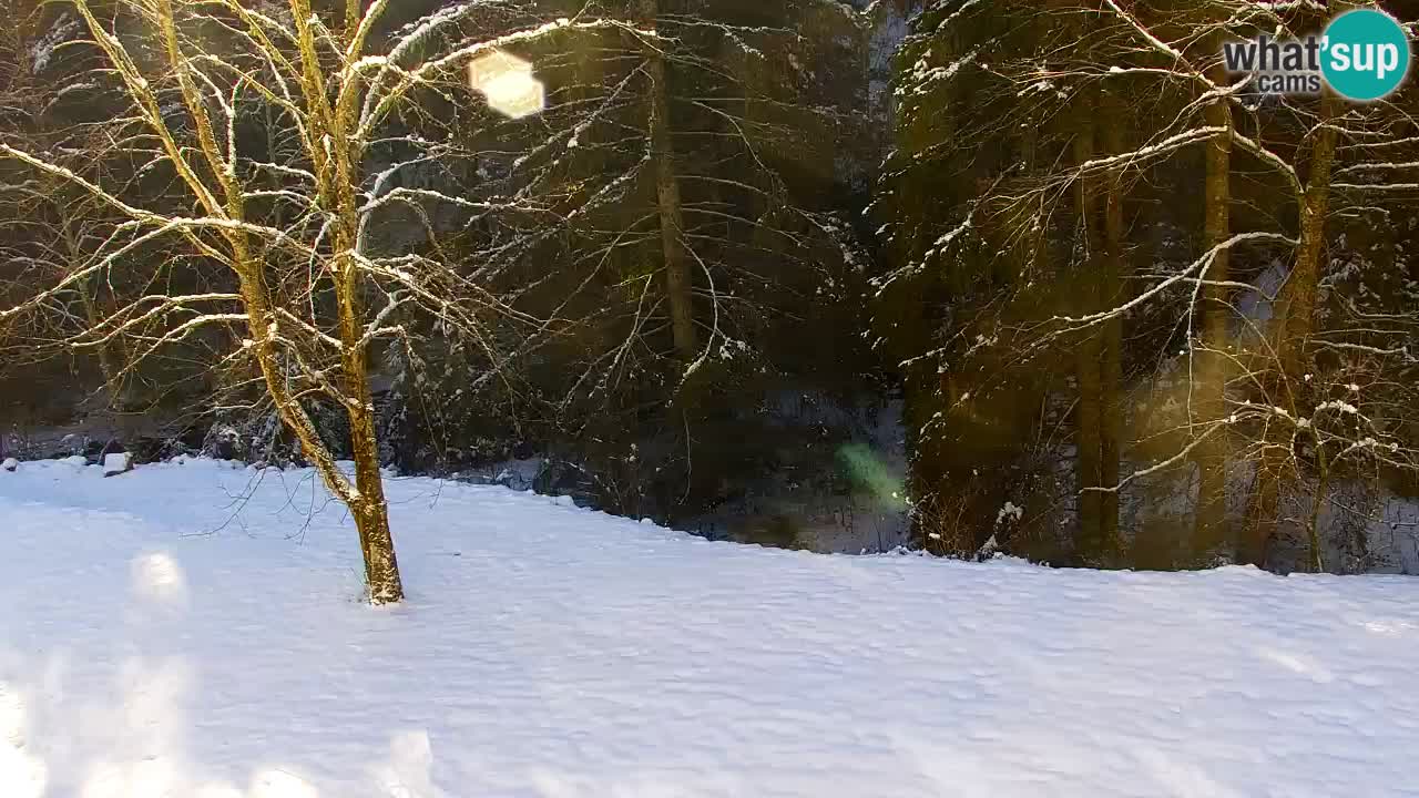 Webcam Lukanja – Water Village | Pohorje Houses