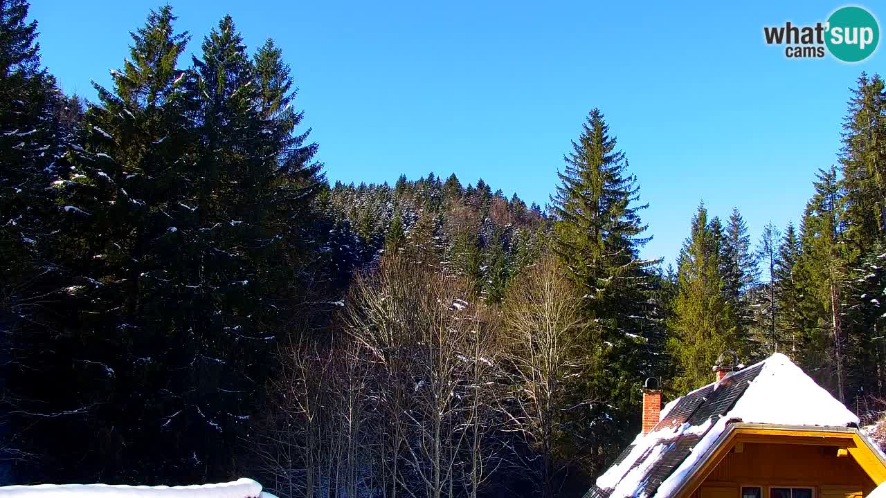 Web kamera Lukanja – Water Village | Pohorje Houses