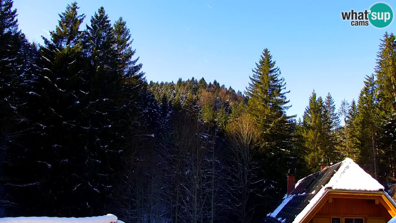 Spletna kamera Lukanja – Water Village | Pohorje Houses