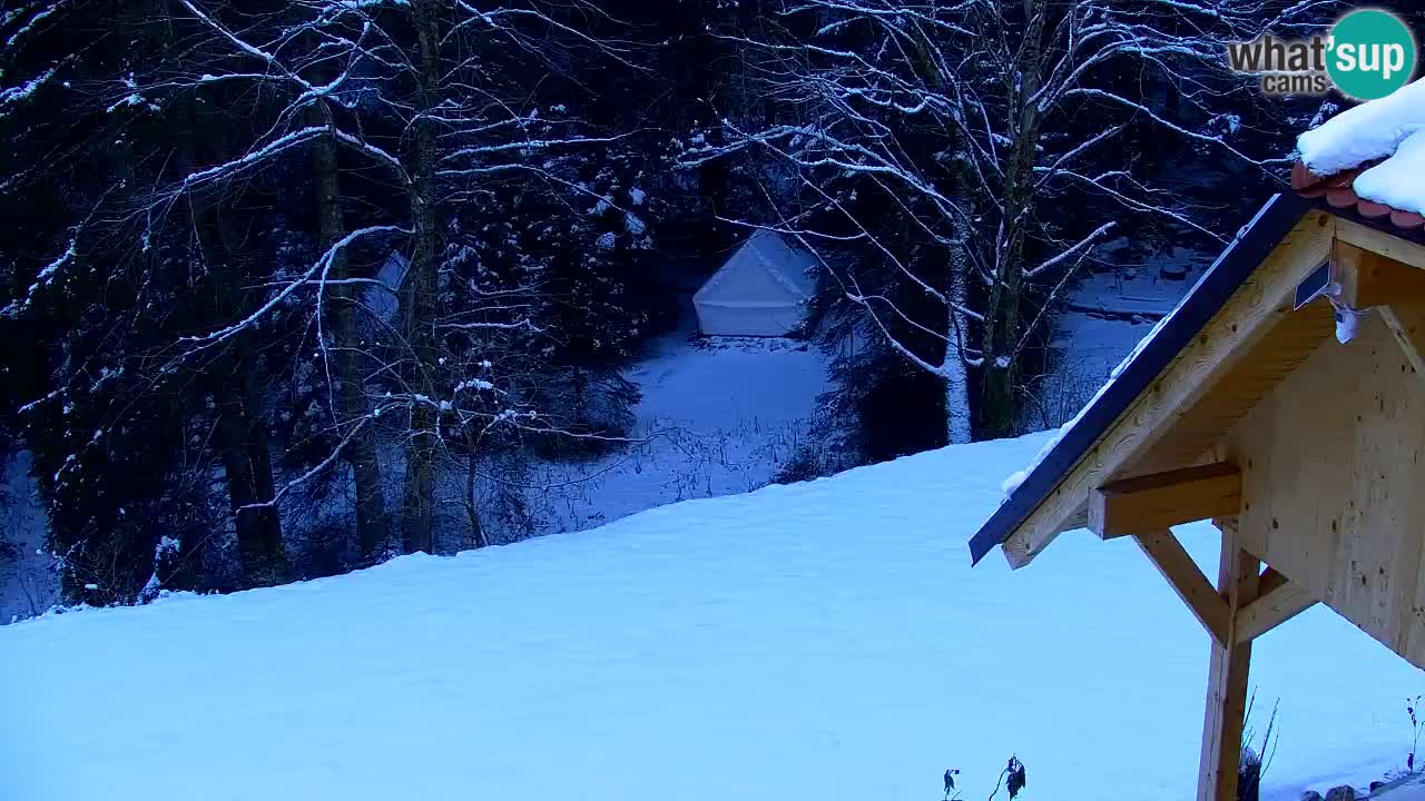 Webcam Lukanja – Pohorje houses a Water village