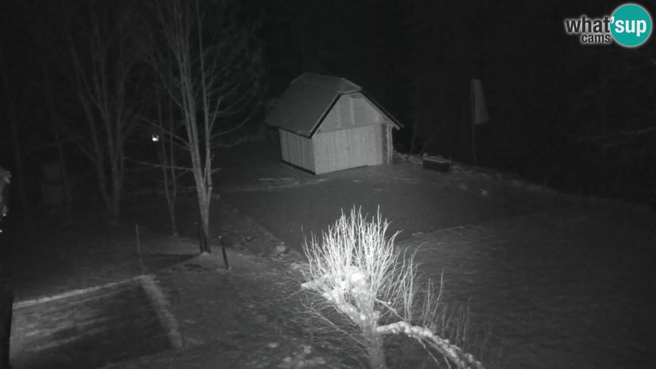 Web kamera Lukanja – Water Village | Pohorje Houses