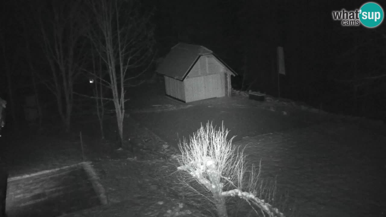 Webcam Lukanja – Water Village | Pohorje Houses