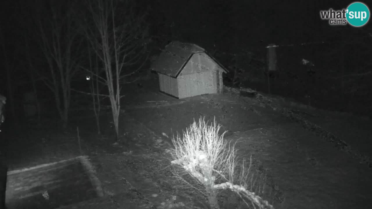 Webcam Lukanja – Pohorje houses a Water village