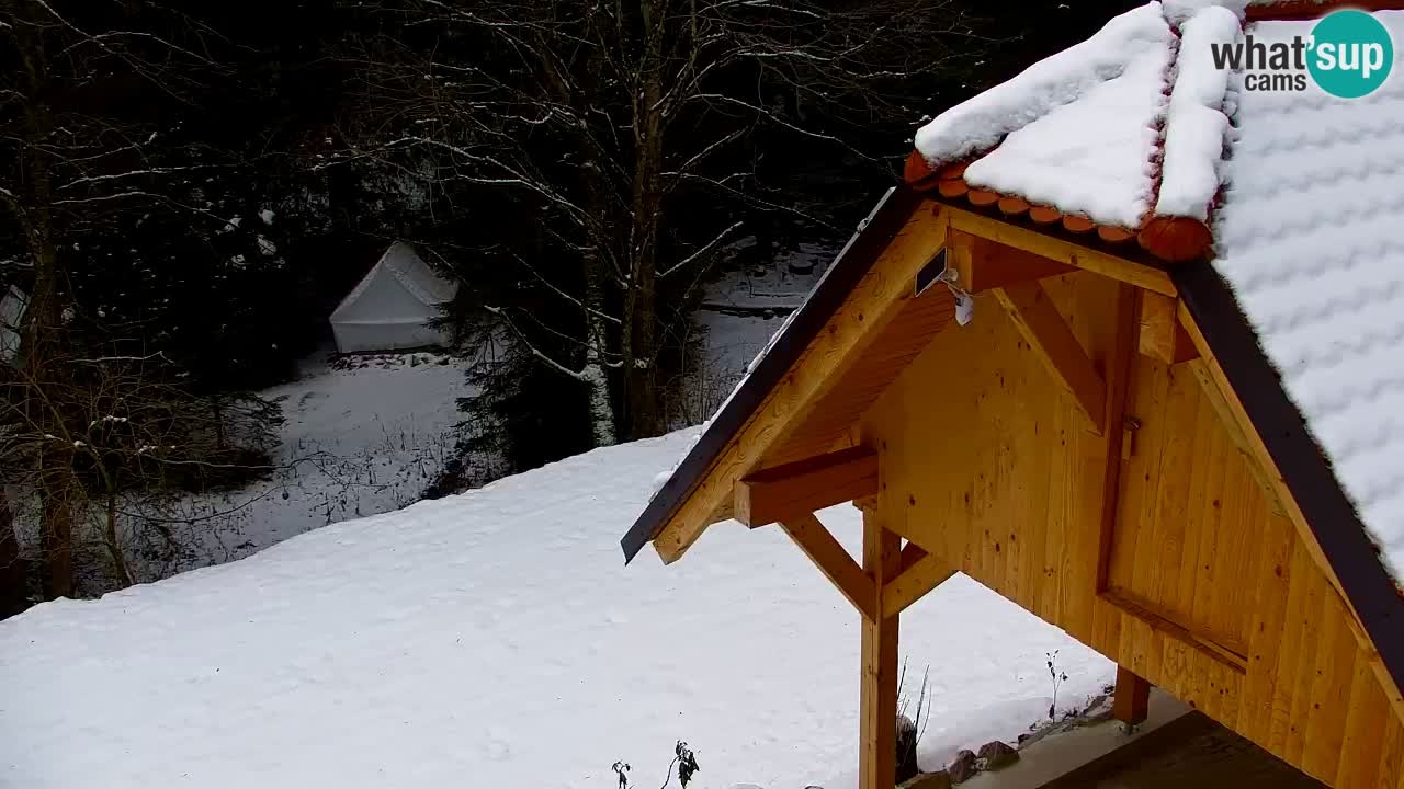 Spletna kamera Lukanja – Water Village | Pohorje Houses