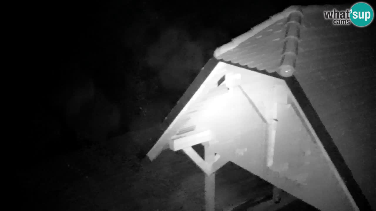 Spletna kamera Lukanja – Water Village | Pohorje Houses