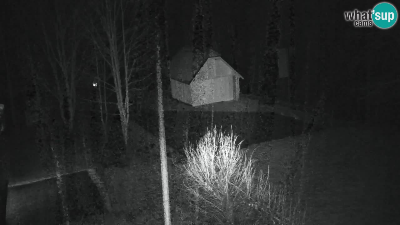 Webcam Lukanja – Water Village | Pohorje Houses