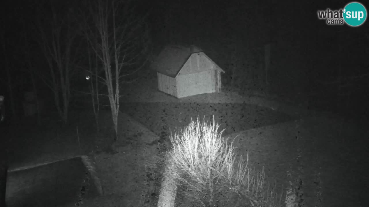 Webcam Lukanja – Water Village | Pohorje Houses