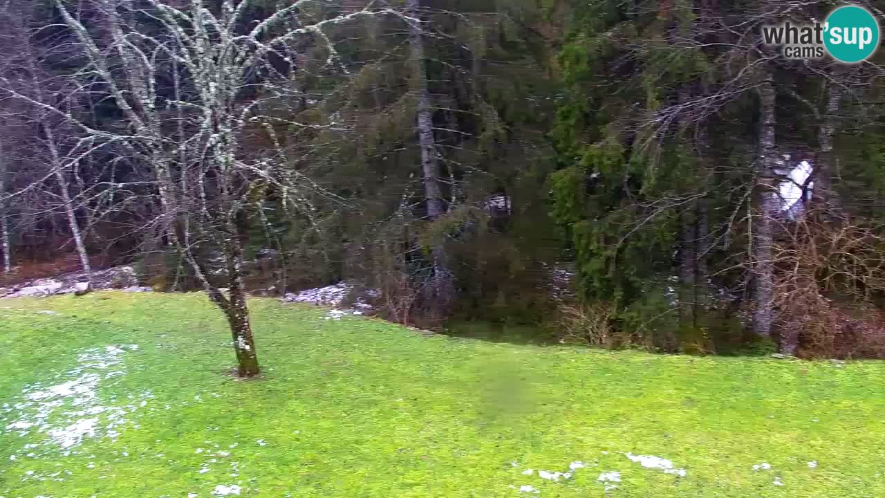 Webcam Lukanja – Water Village | Pohorje Houses