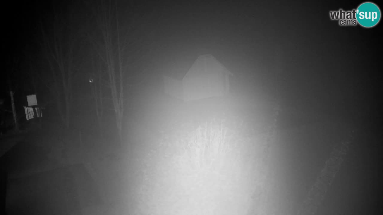 Webcam Lukanja – Water Village | Pohorje Houses