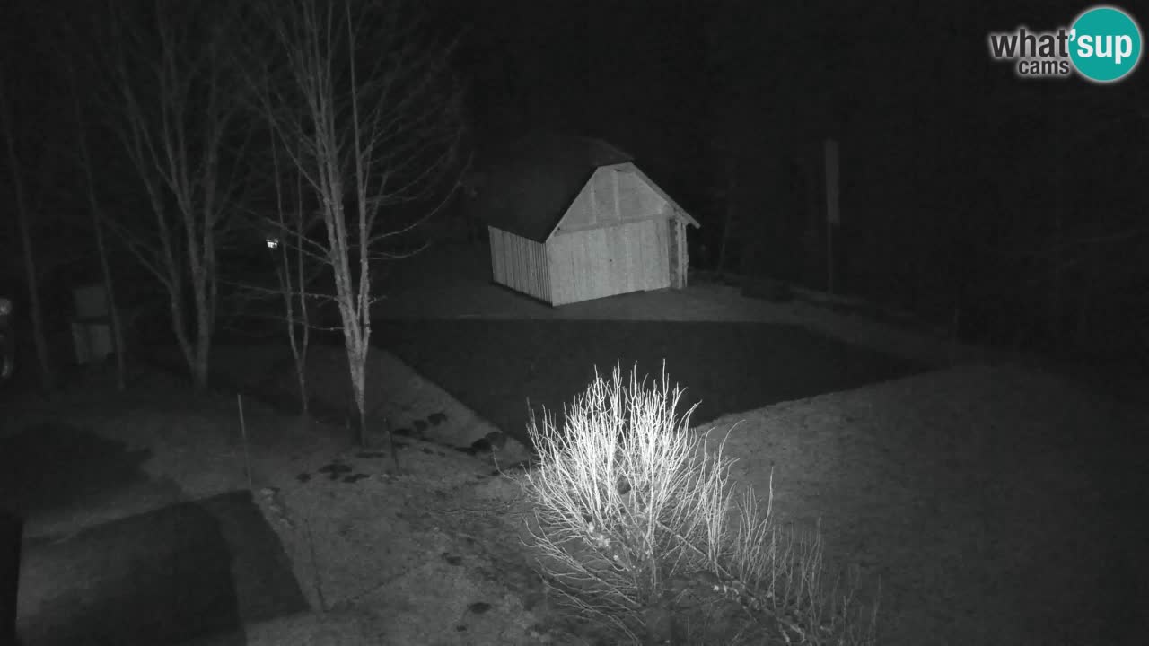 Webcam Lukanja – Pohorje houses a Water village