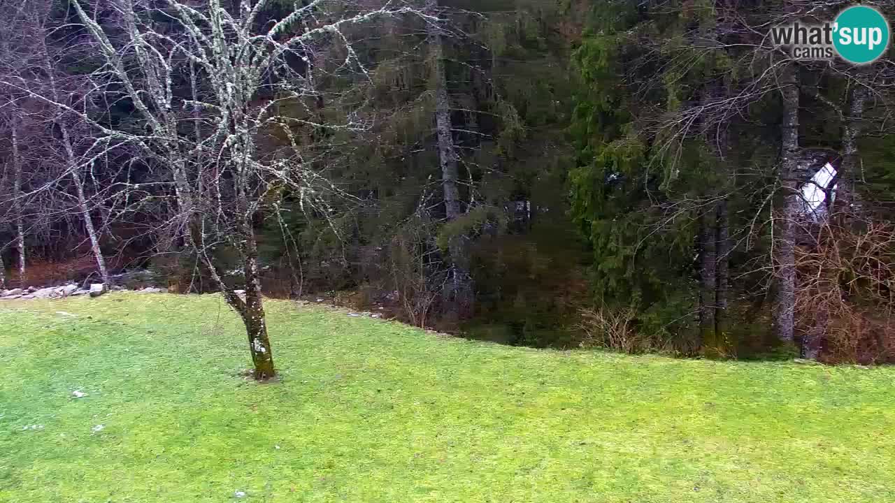 Spletna kamera Lukanja – Water Village | Pohorje Houses