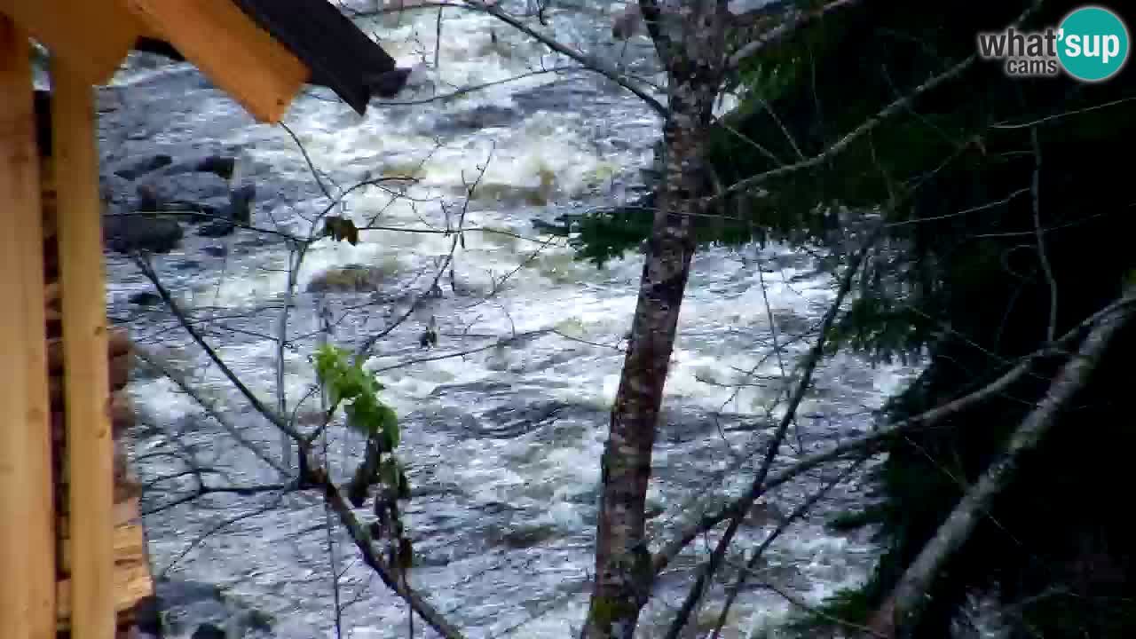 Webcam Lukanja – Pohorje houses a Water village