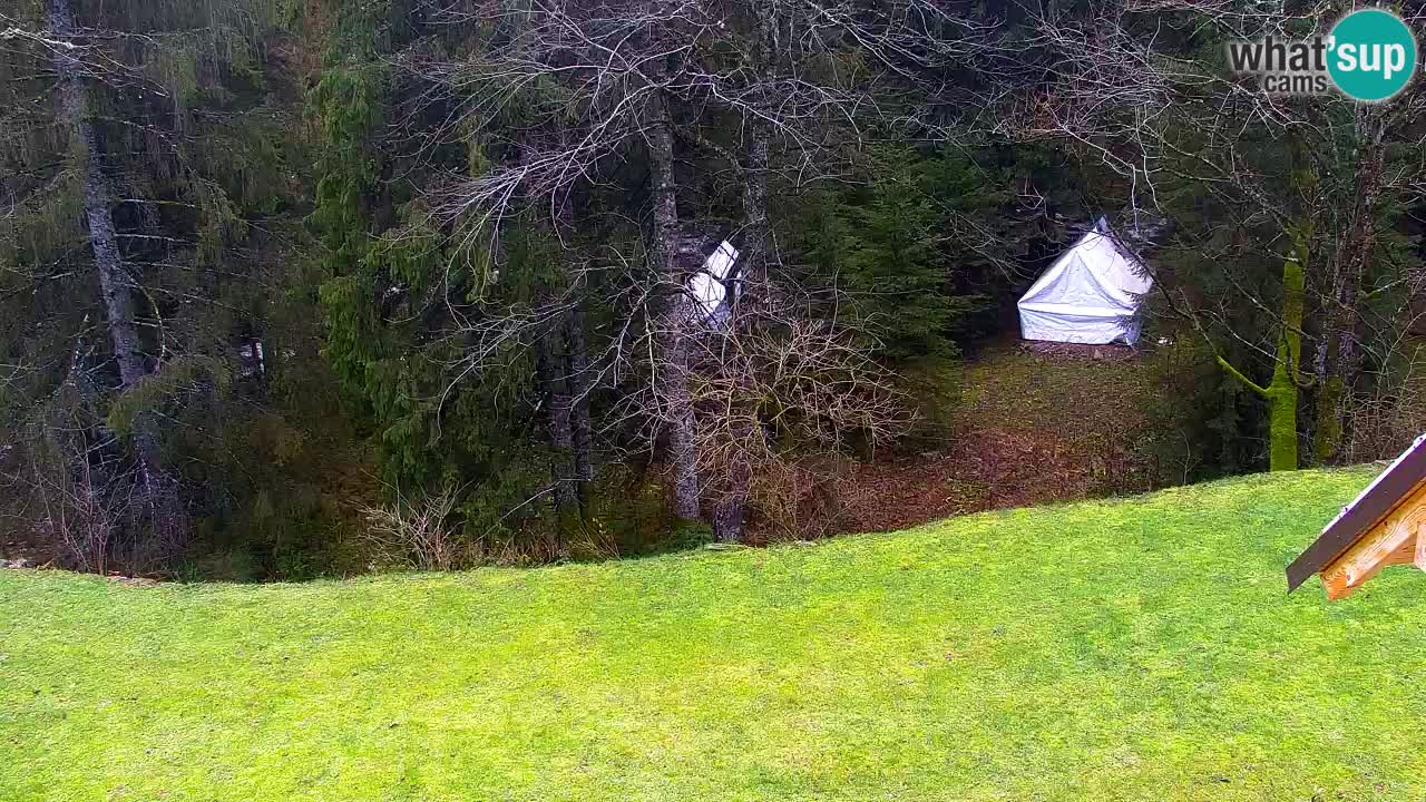 Webcam Lukanja – Water Village | Pohorje Houses