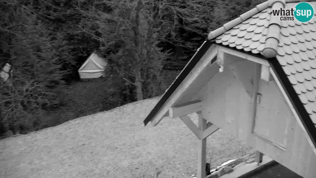Webcam Lukanja – Pohorje houses a Water village