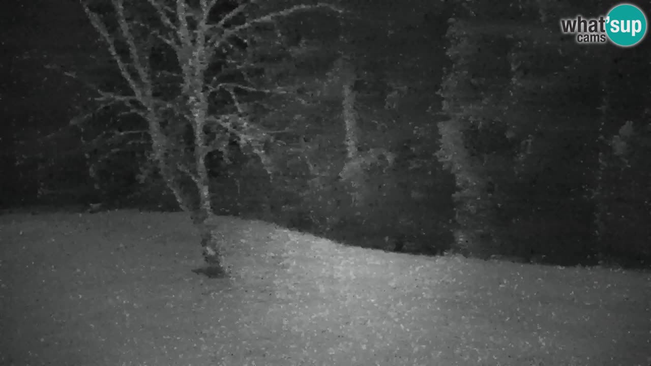 Webcam Lukanja – Pohorje houses a Water village