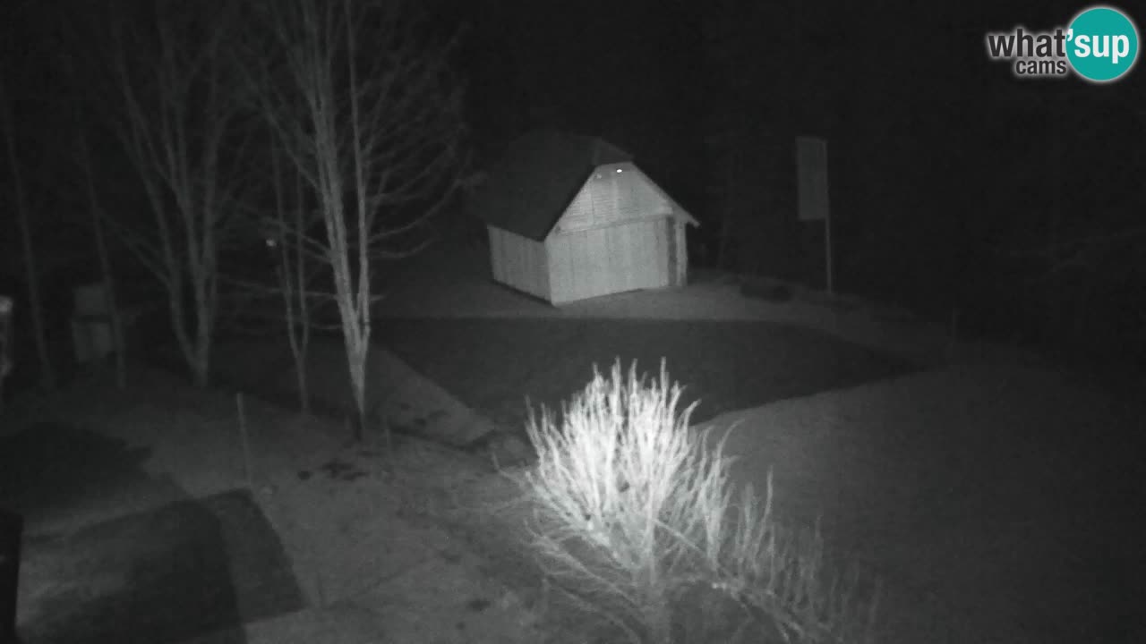 Webcam Lukanja – Water Village | Pohorje Houses