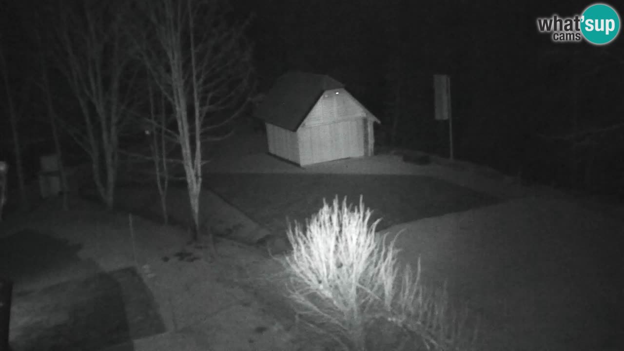 Web kamera Lukanja – Water Village | Pohorje Houses