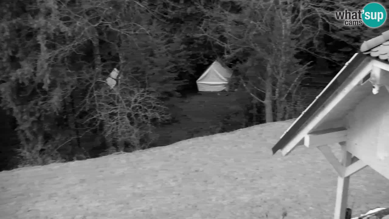 Webcam Lukanja – Water Village | Pohorje Houses