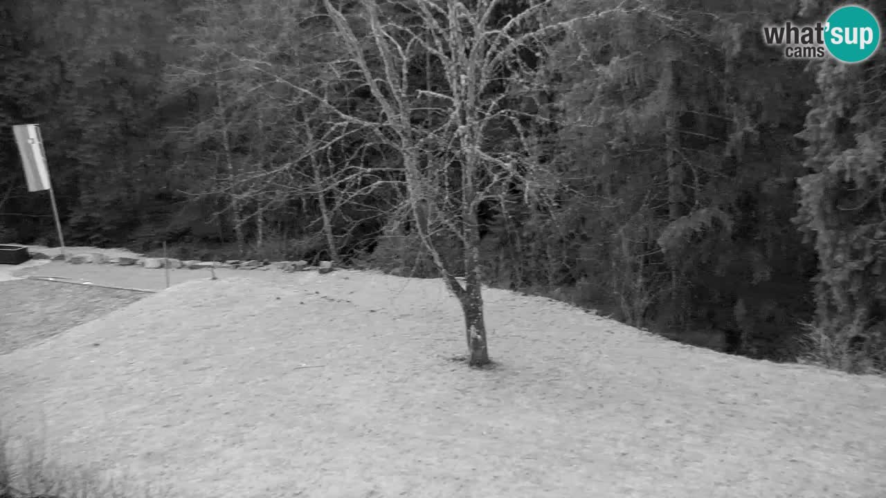 Webcam Lukanja – Water Village | Pohorje Houses