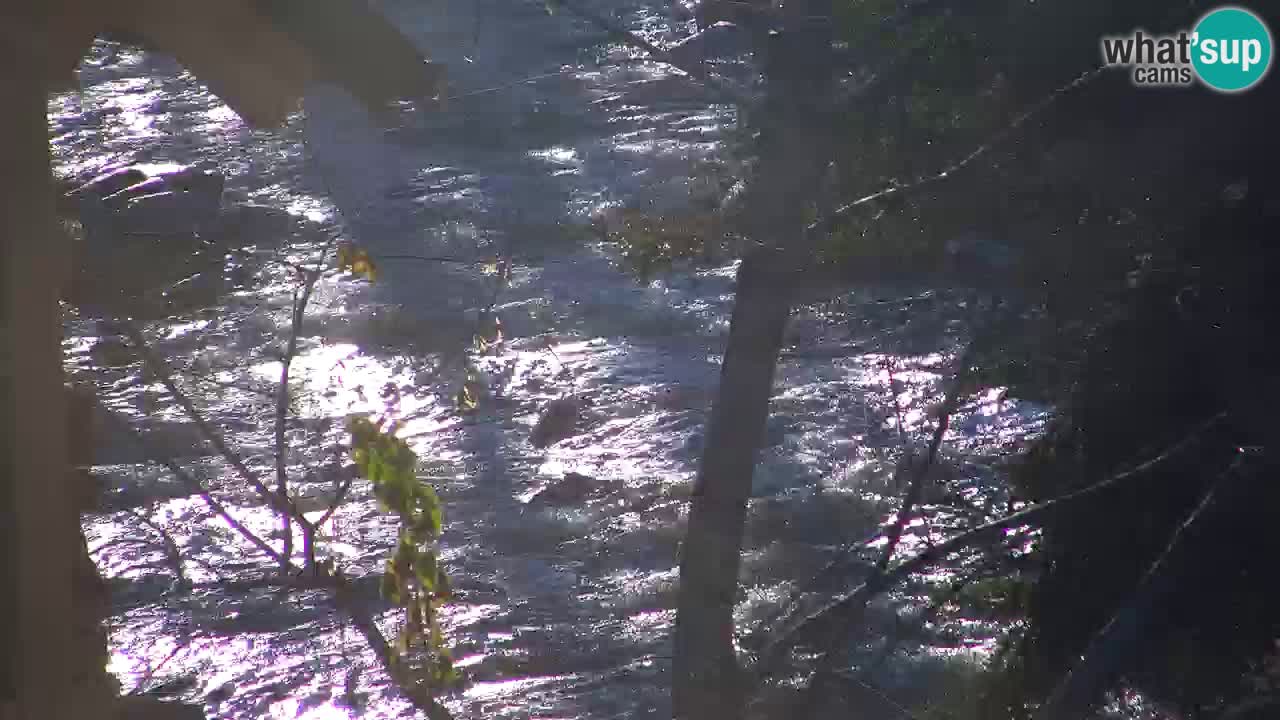 Webcam Lukanja – Water Village | Pohorje Houses