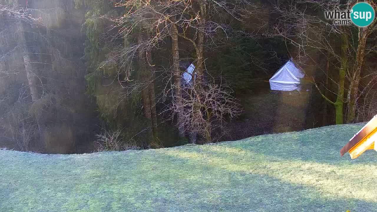 Spletna kamera Lukanja – Water Village | Pohorje Houses