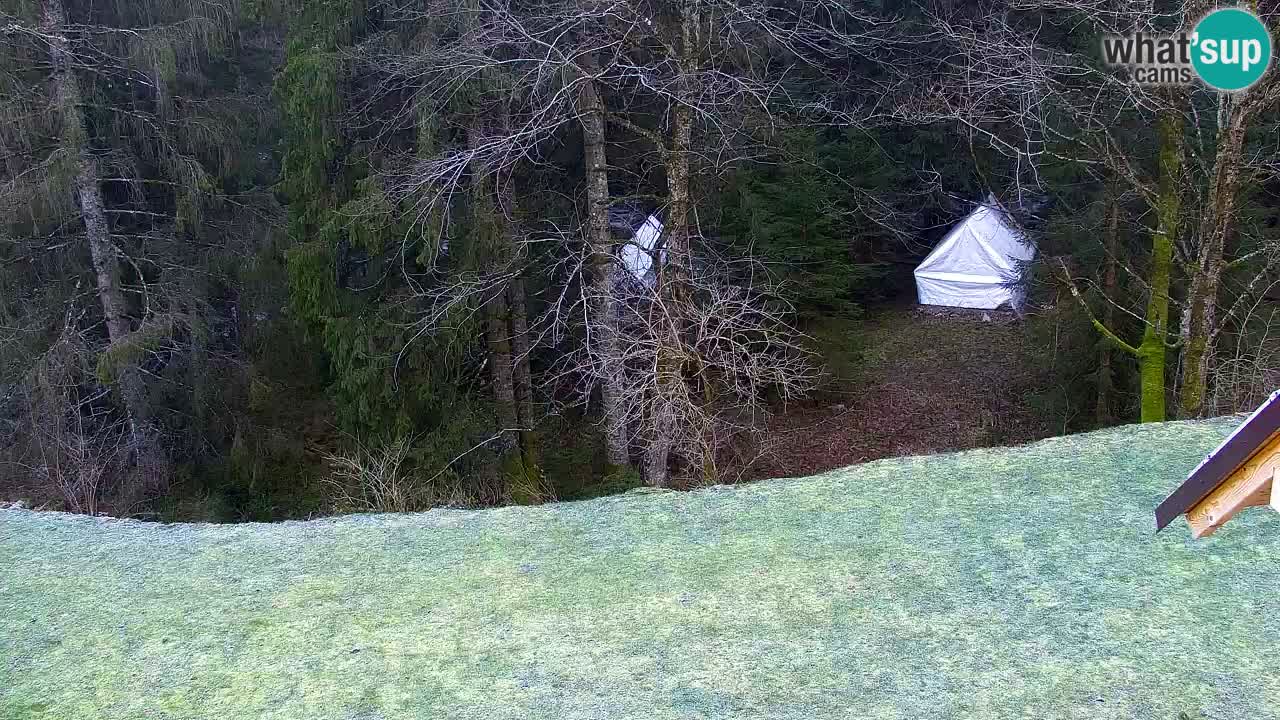 Webcam Lukanja – Water Village | Pohorje Houses